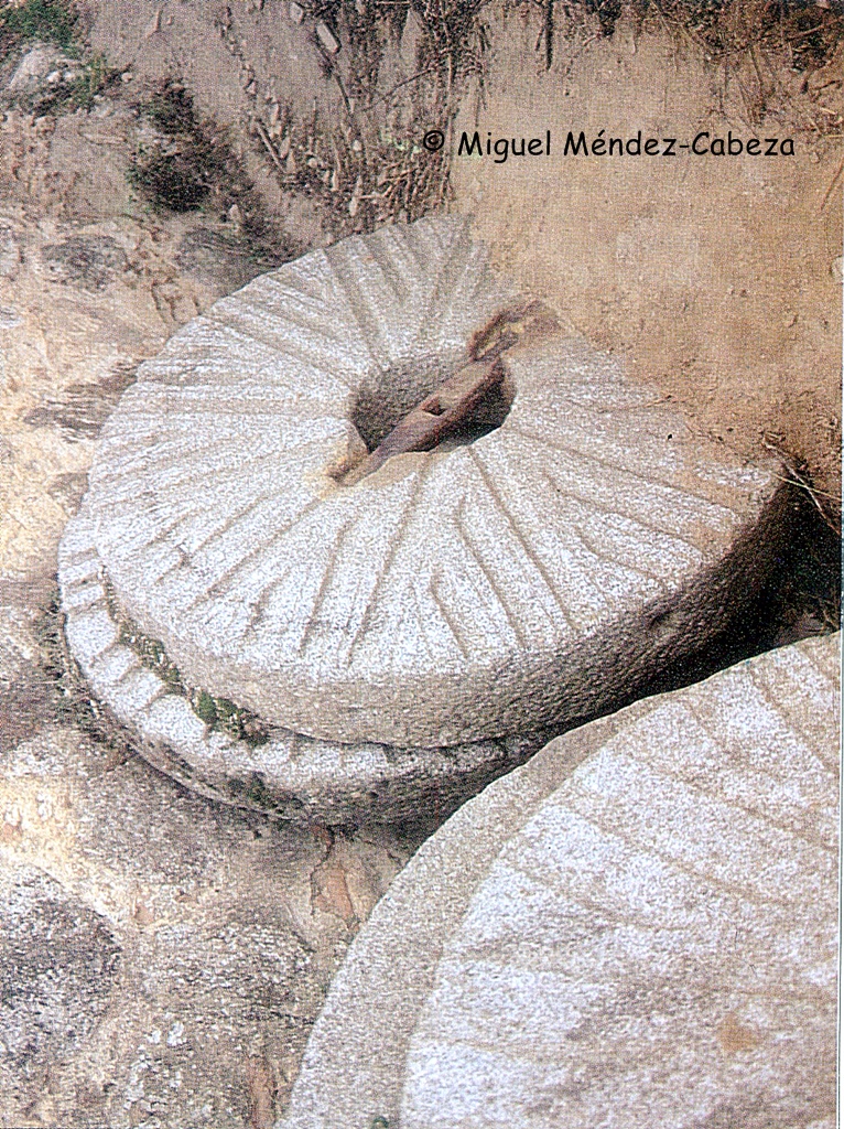 Piedras morenas o españolas de granito que muestran los rayones y la lavija